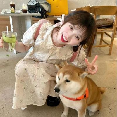疯狂的麦咭第三季