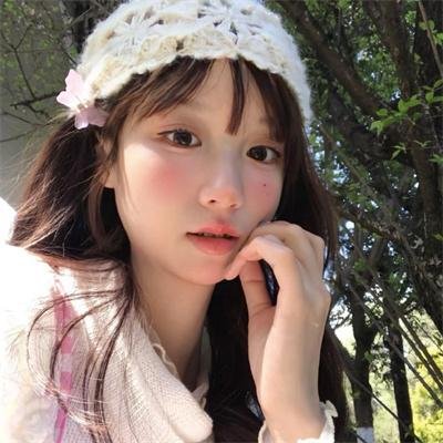 智叻狗仔队